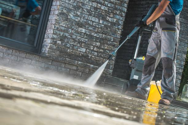 Best House Exterior Washing  in South Roxana, IL