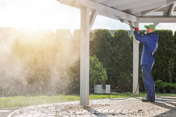 Best Solar Panel Cleaning  in South Roxana, IL