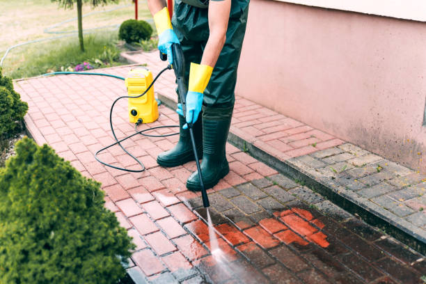 Best Driveway Pressure Washing  in South Roxana, IL