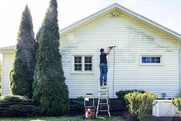 Best Patio and Deck Pressure Washing  in South Roxana, IL